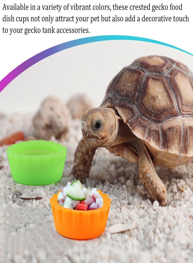 UPIQNG 10 Pack Colorful Crested Gecko Feeding Dishes Reusable Small Reptile Food and Water Bowls Accessories for Cresteds, Tortoises, Crabs, and Small Pets10 Colors - Image 4